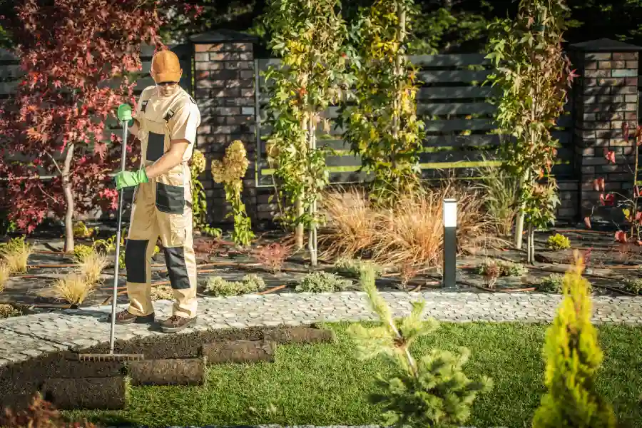 New Lawn Installation