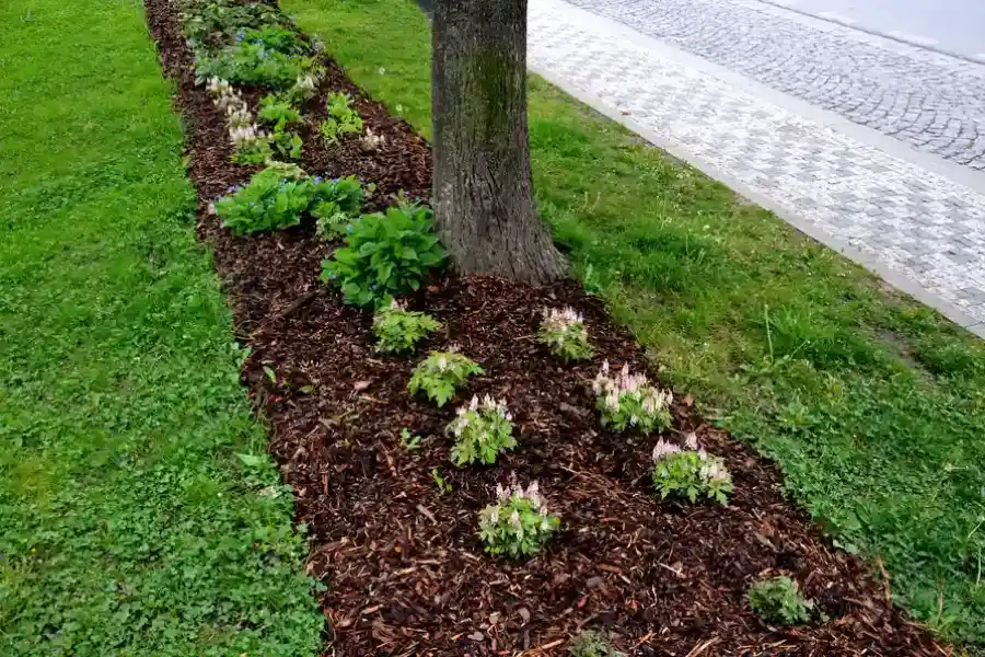 Park Mulch