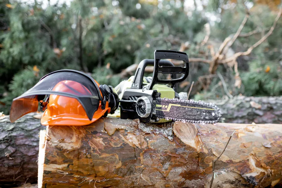 Tree Cutting Services
